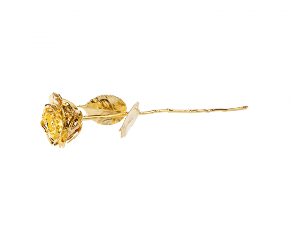 Eternity Roses Gold 24K Gold Dipped Luxury Eternity Rose (Box Set) | Gold Bank - London